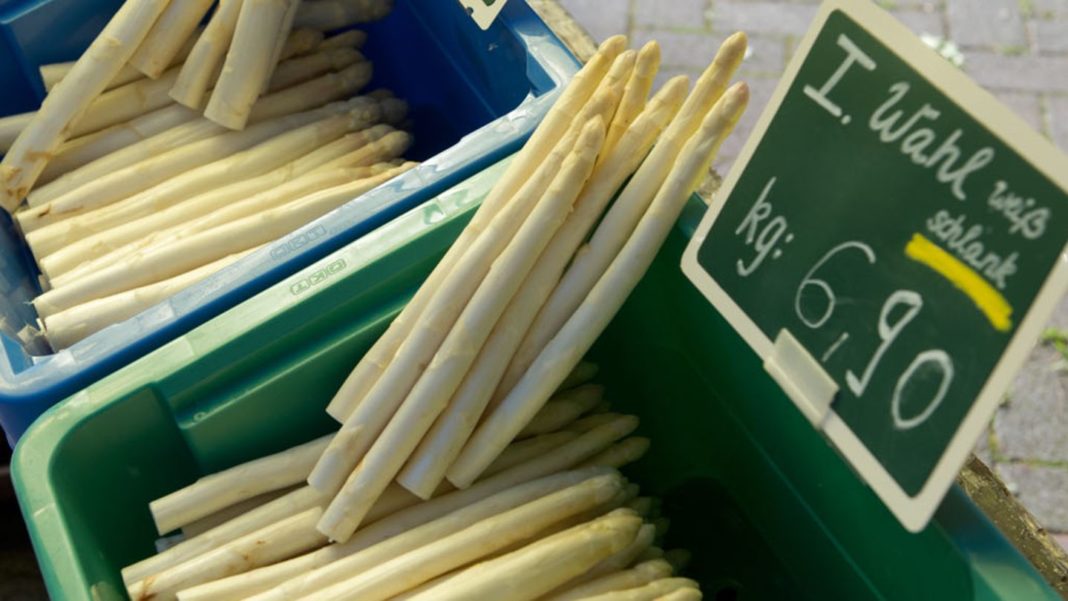 spargelzeit:-deshalb-riecht-der-urin-nach-dem-spargelessen-haeufig-unangenehm spargelzeit:-deshalb-riecht-der-urin-nach-dem-spargelessen-haeufig-unangenehm