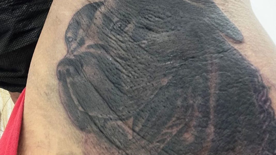 star-tattoos:-welcher-star-traegt-seinen-hund-an-ungewoehnlicher-stelle-immer-bei-sich? star-tattoos:-welcher-star-traegt-seinen-hund-an-ungewoehnlicher-stelle-immer-bei-sich?