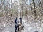 wienerwald-als-winter-wonderland-im-april wienerwald-als-winter-wonderland-im-april