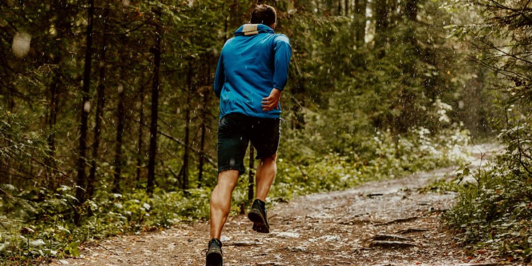 kolumne:-„so-laeuft-es“-–-liebe-trail-runner,-seid-achtsam-mit-der-natur! kolumne:-„so-laeuft-es“-–-liebe-trail-runner,-seid-achtsam-mit-der-natur!