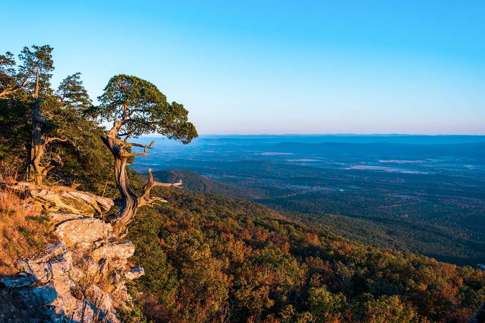 arkansas:-diamanten-suchen-und-unberuehrte-natur-erleben arkansas:-diamanten-suchen-und-unberuehrte-natur-erleben