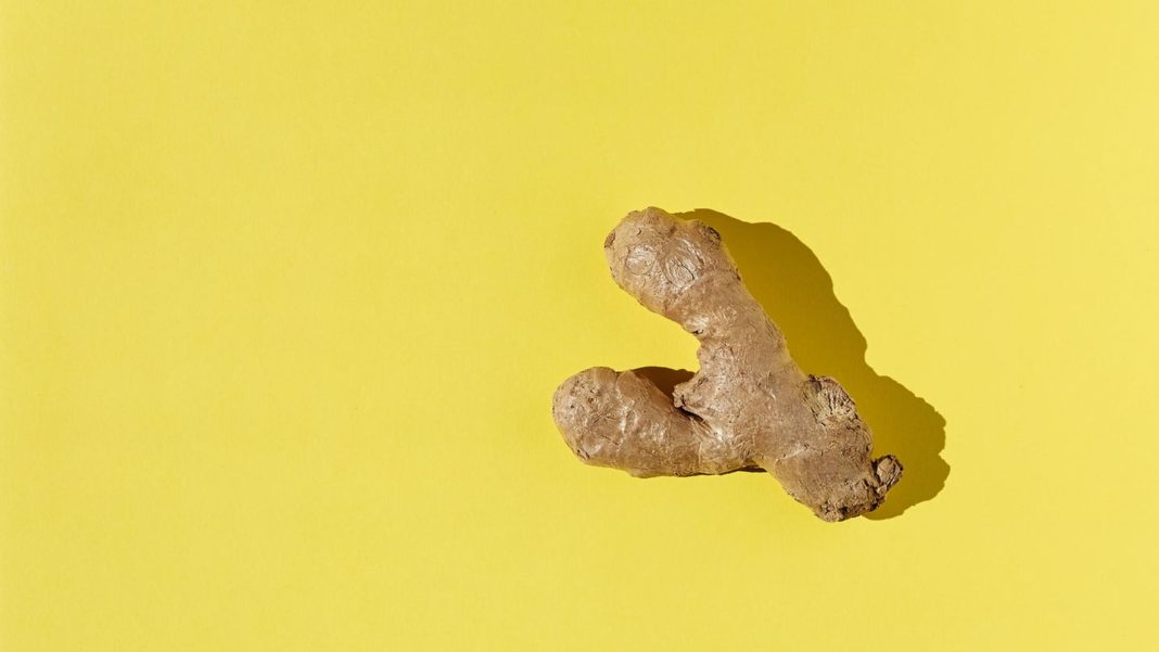 figging:-scharfes-spiel:-immer-mehr-menschen-haben-sex-mit-ingwer-–-das-steckt-dahinter