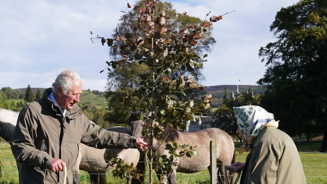 fuer-eine-bessere-welt:-diese-royals-setzen-sich-fuer-den-umweltschutz-ein