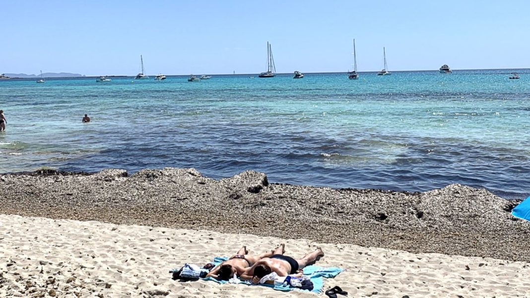 strand-es-trenc:-zwei-tauchurlauber-in-mallorca-verstuemmelt:-prozessbeginn-gegen-deutschen-polizisten strand-es-trenc:-zwei-tauchurlauber-in-mallorca-verstuemmelt:-prozessbeginn-gegen-deutschen-polizisten