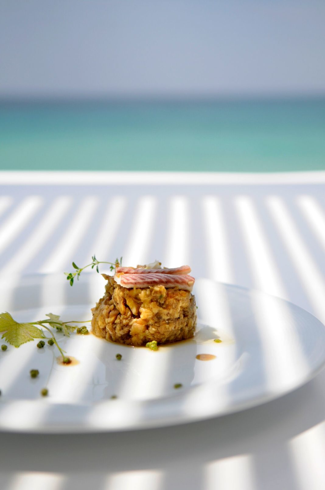 sani-gourmet sani-gourmet