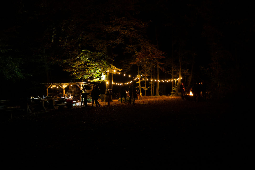 waldkueche-live-auf-hoechstem-niveau waldkueche-live-auf-hoechstem-niveau
