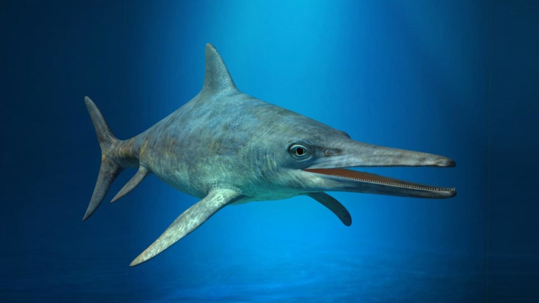palaeontologen-fanden-juengste-fischsaurier-oesterreichs palaeontologen-fanden-juengste-fischsaurier-oesterreichs