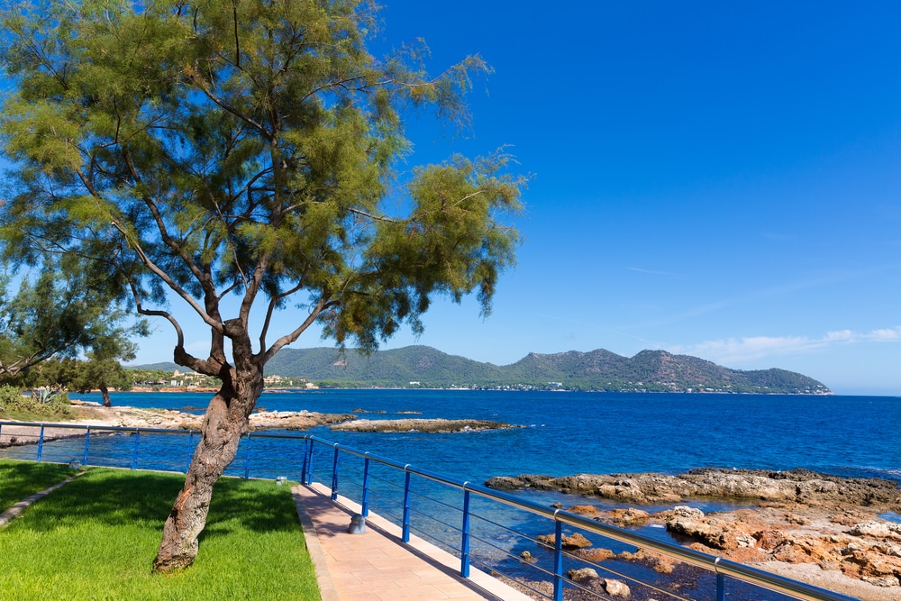 klein,-aber-huebsch-und-fein:-cala-bona klein,-aber-huebsch-und-fein:-cala-bona
