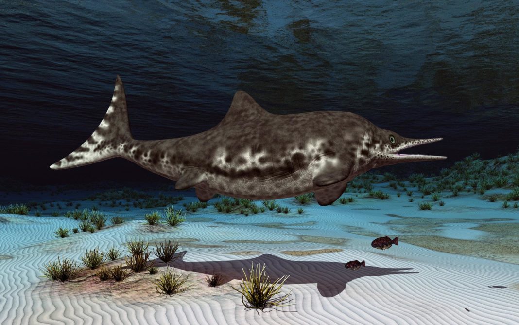 fossil-eines-traechtigen-dinosauriers-in-chile-entdeckt