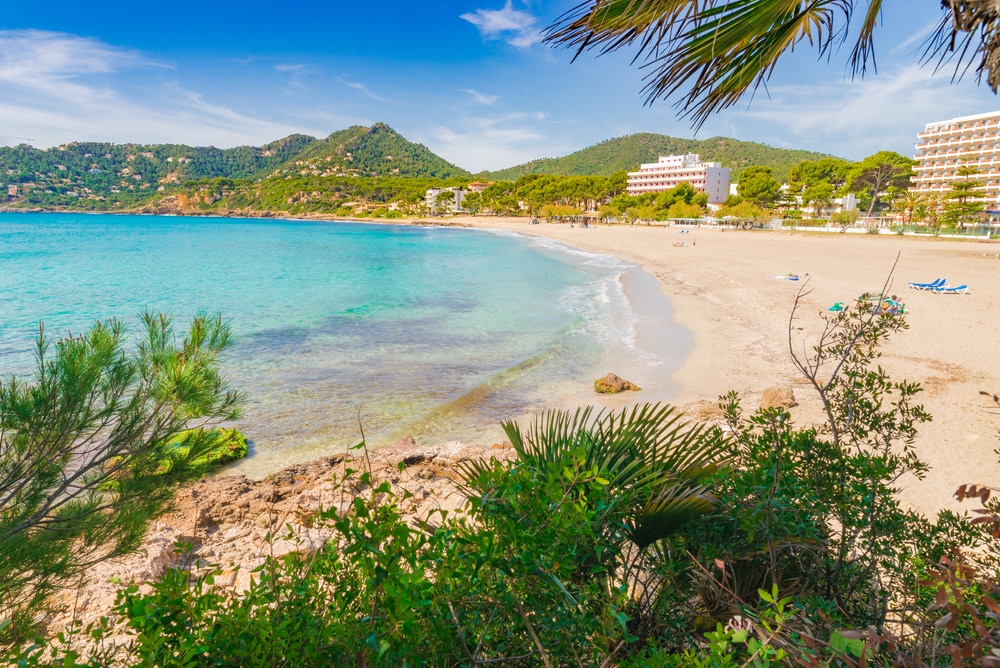playa-de-canyamel-–-ein-beliebtes-sommerurlaubsziel playa-de-canyamel-–-ein-beliebtes-sommerurlaubsziel