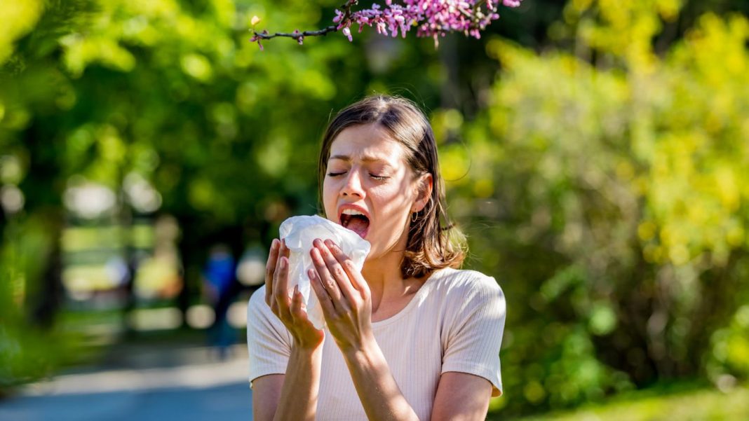 allergie:-hatschi!-darum-machen-es-pollen-heuschnupflern-dieses-jahr-besonders-schwer