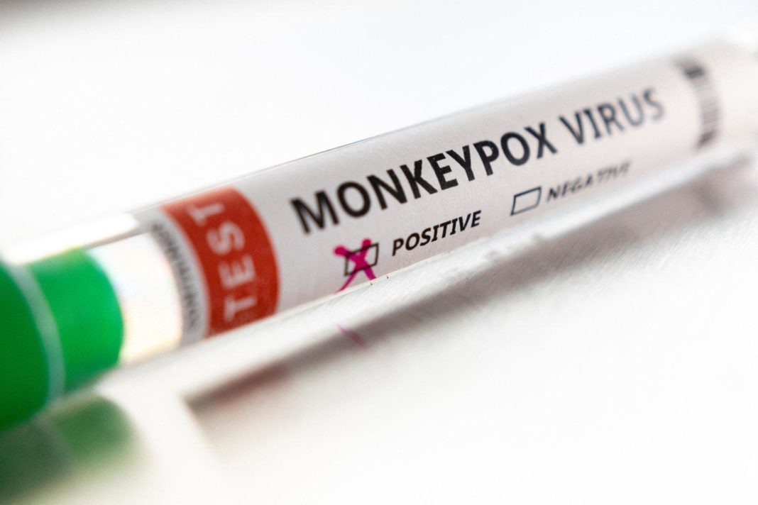 von-affenpocken-bis-zika:-diese-zoonosen-traten-bislang-auf