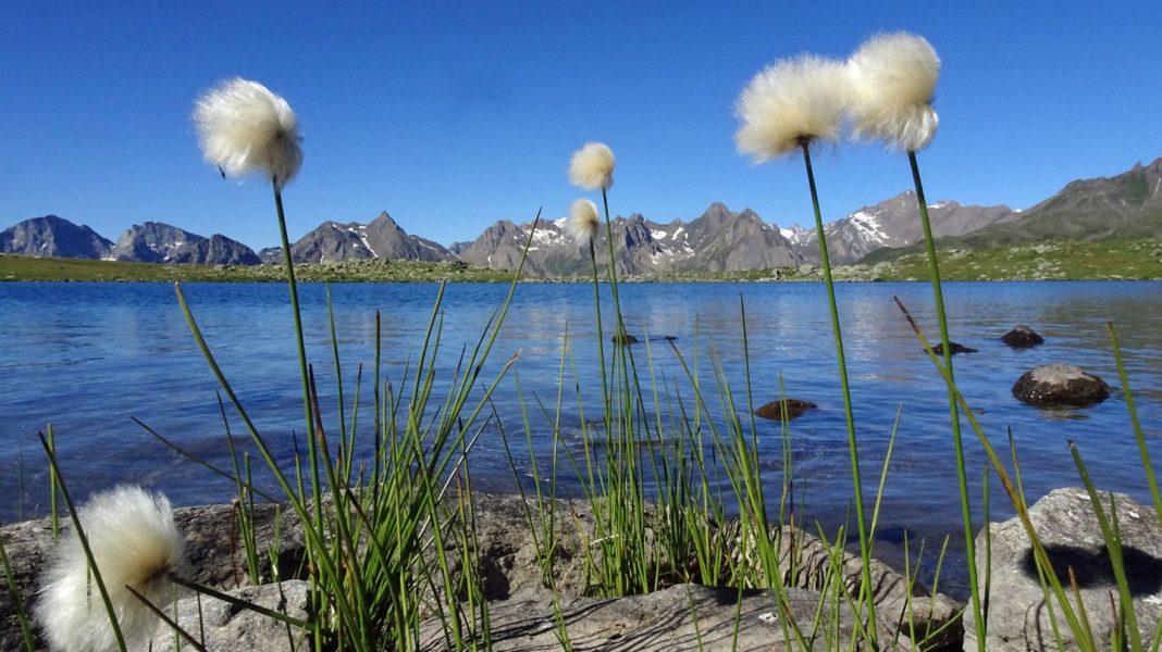 trekking-im-tessin,-teil-4:-zwischen-himmel,-wassern-und-erde-–-wandern-von-airolo-ins-obere-valle-maggia trekking-im-tessin,-teil-4:-zwischen-himmel,-wassern-und-erde-–-wandern-von-airolo-ins-obere-valle-maggia