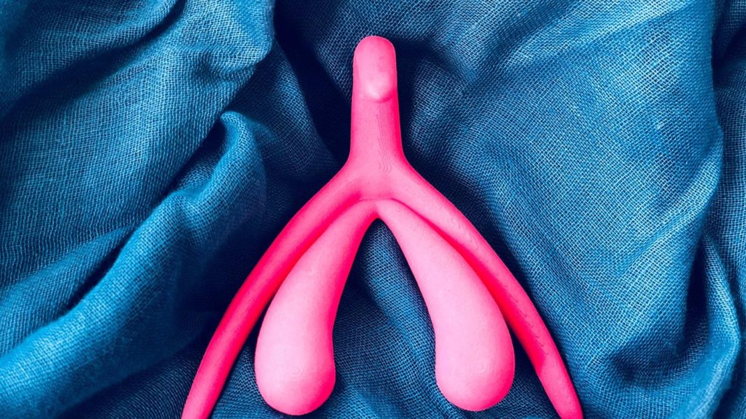 sexualitaet:-weiblicher-orgasmus:-diese-rolle-spielt-die-klitoris sexualitaet:-weiblicher-orgasmus:-diese-rolle-spielt-die-klitoris