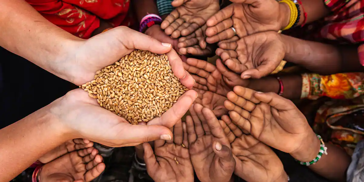 kolumne:-„so-laeuft-es“-–-wer-mit-liebe-isst,-braucht-kein-superfood kolumne:-„so-laeuft-es“-–-wer-mit-liebe-isst,-braucht-kein-superfood