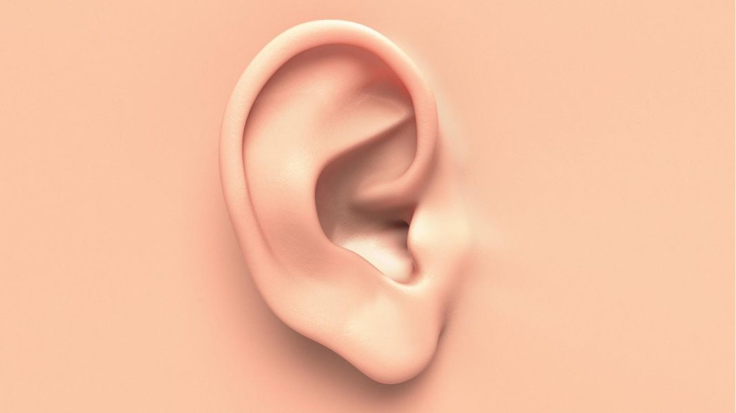 zukunft-der-medizin:-neues-ohr-aus-dem-3d-drucker-–-erste-erfolgreiche-transplantation-in-den-usa-durchgefuehrt zukunft-der-medizin:-neues-ohr-aus-dem-3d-drucker-–-erste-erfolgreiche-transplantation-in-den-usa-durchgefuehrt
