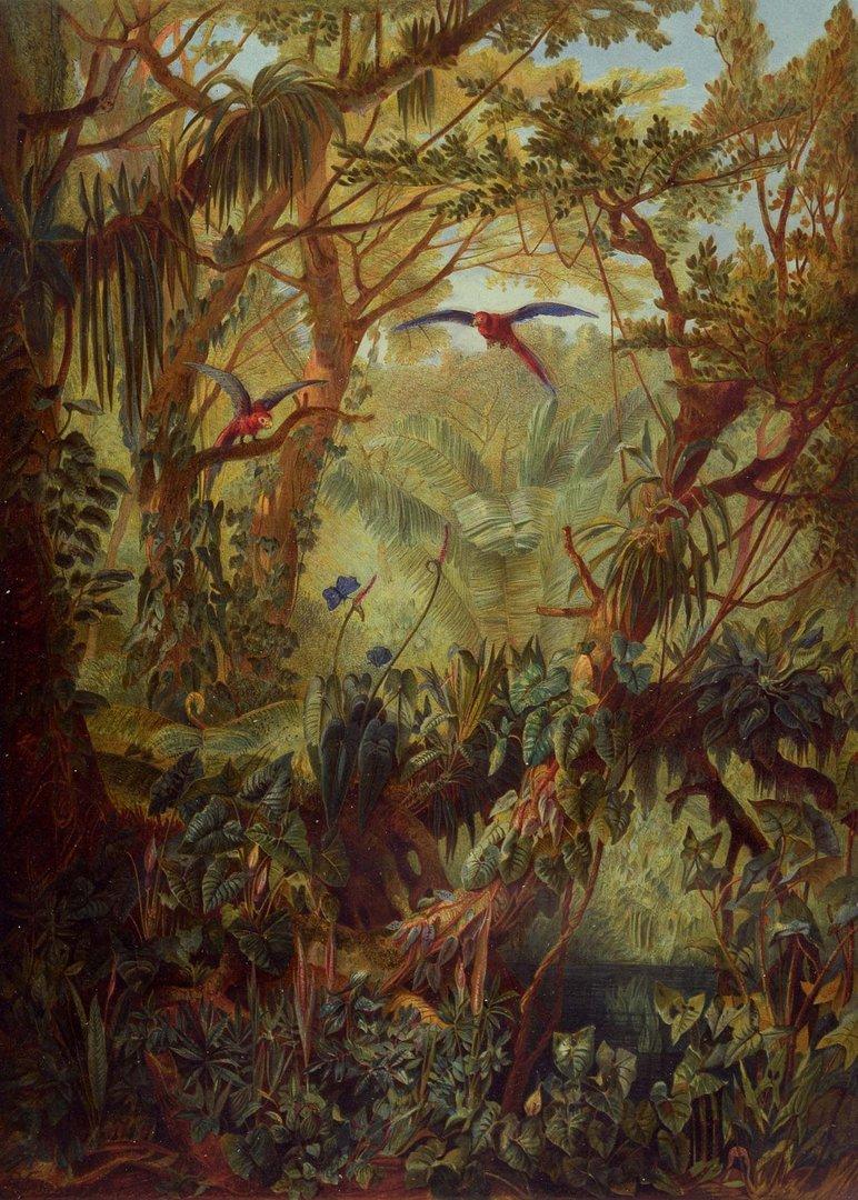 wie-oesterreich-brasilien-entdeckte,-erforschte-–-und-pluenderte wie-oesterreich-brasilien-entdeckte,-erforschte-–-und-pluenderte