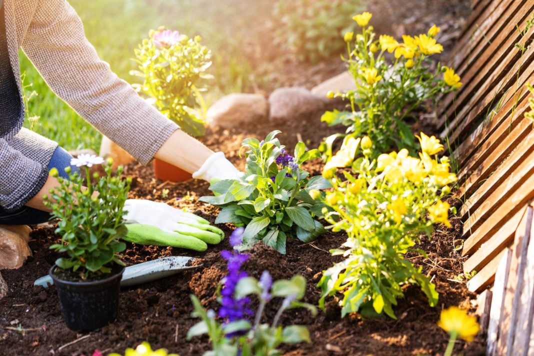 wie-sich-gartenarbeit-positiv-auf-psyche-und-koerper-auswirkt