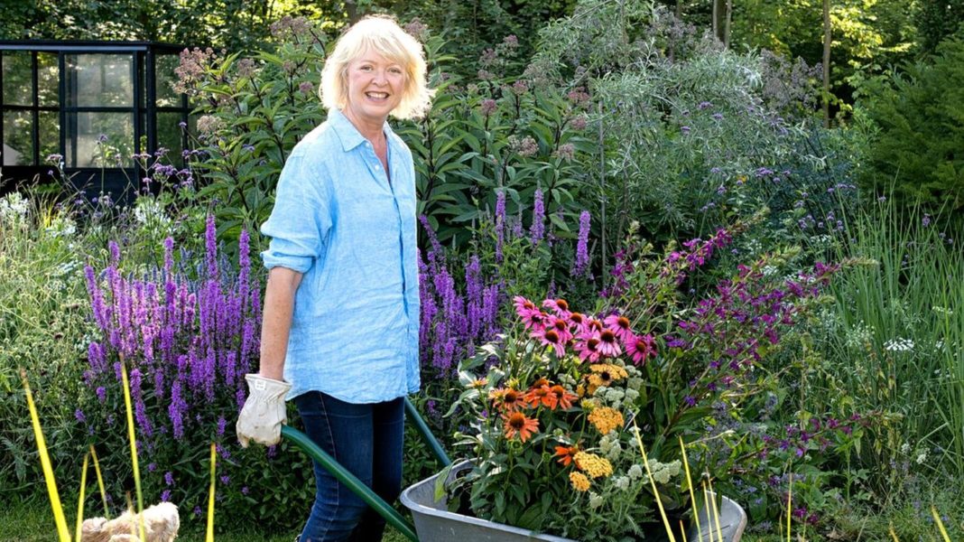 garten-anlegen:-ein-garten-macht-muehe-und-oft,-was-er-will-–-und-doch-fand-meike-winnemuth-ein-grosses-stueck-glueck-|-stern-plus garten-anlegen:-ein-garten-macht-muehe-und-oft,-was-er-will-–-und-doch-fand-meike-winnemuth-ein-grosses-stueck-glueck-|-stern-plus