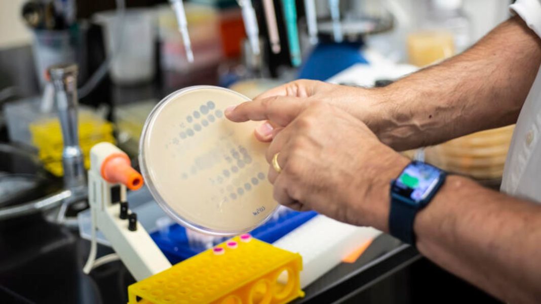 phagentherapie:-viren-gegen-bakterien-–-100-jahre-alte-therapie-erlebt-medizinisches-comeback phagentherapie:-viren-gegen-bakterien-–-100-jahre-alte-therapie-erlebt-medizinisches-comeback