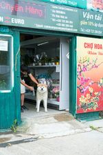im-“little-hanoi”-von-prag:-auf-einen-huehnerfusssalat-nach-tschechien im-“little-hanoi”-von-prag:-auf-einen-huehnerfusssalat-nach-tschechien