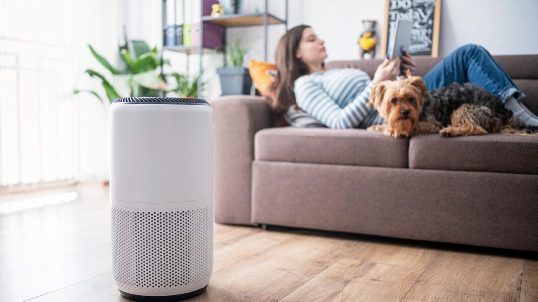 heuschnupfen-und-hausstauballergie:-worauf-allergiker-beim-kauf-von-luftreinigern-achten-sollten heuschnupfen-und-hausstauballergie:-worauf-allergiker-beim-kauf-von-luftreinigern-achten-sollten
