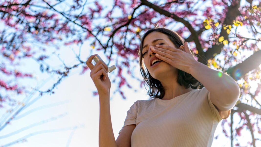 salben,-tropfen-und-tabletten:-welche-medikamente-bei-heuschnupfen-und-allergien-wirklich-helfen salben,-tropfen-und-tabletten:-welche-medikamente-bei-heuschnupfen-und-allergien-wirklich-helfen