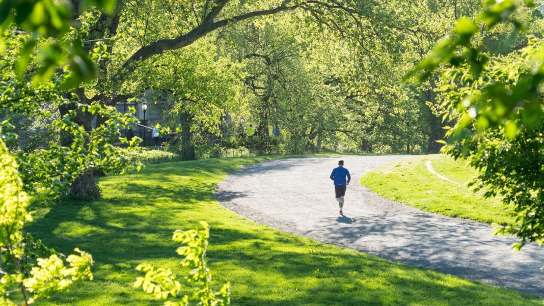 heilsames-gruen:-gruen-tut-gut-– beim-sport,-im-garten,-der-seele.-warum-der-mensch-draussen-aufblueht heilsames-gruen:-gruen-tut-gut-– beim-sport,-im-garten,-der-seele.-warum-der-mensch-draussen-aufblueht