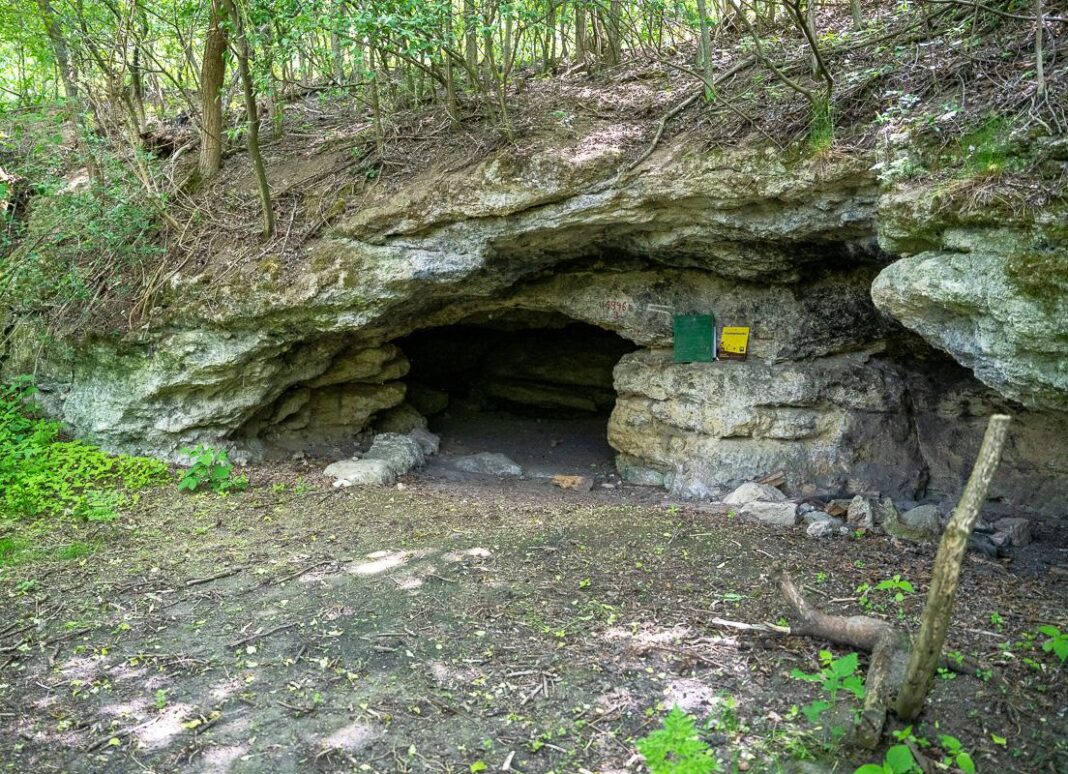 hyaenenhoehle-im-waldviertel-verweist-auf-extreme-klimaschwankungen hyaenenhoehle-im-waldviertel-verweist-auf-extreme-klimaschwankungen