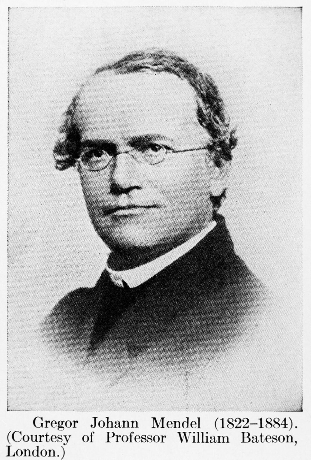 wie-gregor-mendel-die-grundregeln-der-genetik-und-die-welt-ihn-(wieder-)entdeckte wie-gregor-mendel-die-grundregeln-der-genetik-und-die-welt-ihn-(wieder-)entdeckte