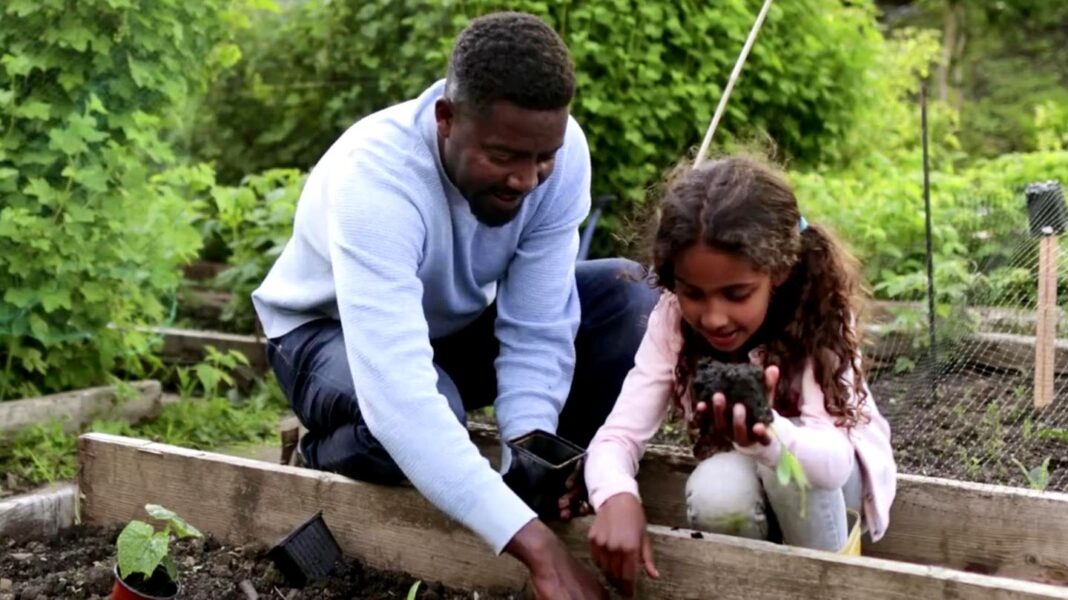 tipps-und-tricks:-pflanzenpflege:-diese-drei-dinge-sollten-sie-unbedingt-aus-ihrem-garten-entfernen tipps-und-tricks:-pflanzenpflege:-diese-drei-dinge-sollten-sie-unbedingt-aus-ihrem-garten-entfernen