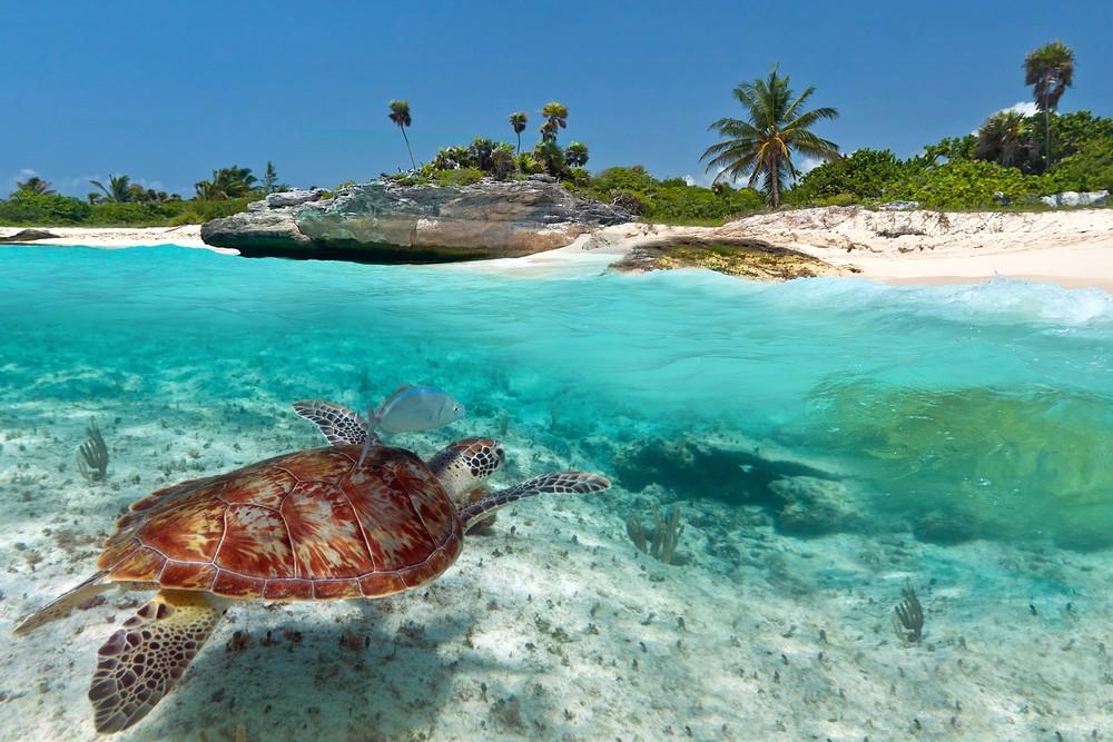 ein-paradies-–-die-5-beliebtesten-inseln-in-der-karibik ein-paradies-–-die-5-beliebtesten-inseln-in-der-karibik