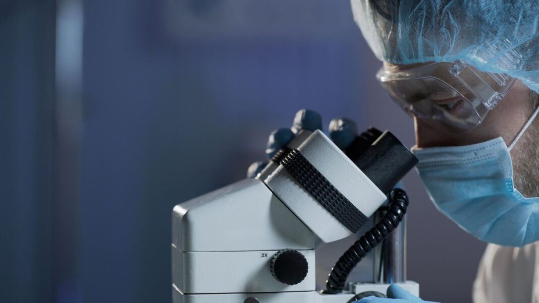 britischen-medizinern-gelingt-durchbruch:-“es-ist-wirklich-alles-ein-wunder”:-forscher-heilen-patienten-mit-variante-der-bluterkrankheit-dauerhaft britischen-medizinern-gelingt-durchbruch:-“es-ist-wirklich-alles-ein-wunder”:-forscher-heilen-patienten-mit-variante-der-bluterkrankheit-dauerhaft
