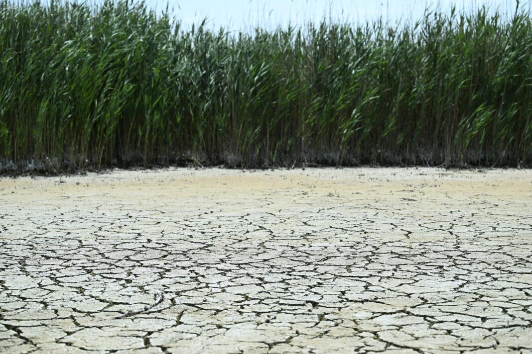 klimawandel-bringt-trockengebiets-mechanismen-auch-in-feuchtere-zonen