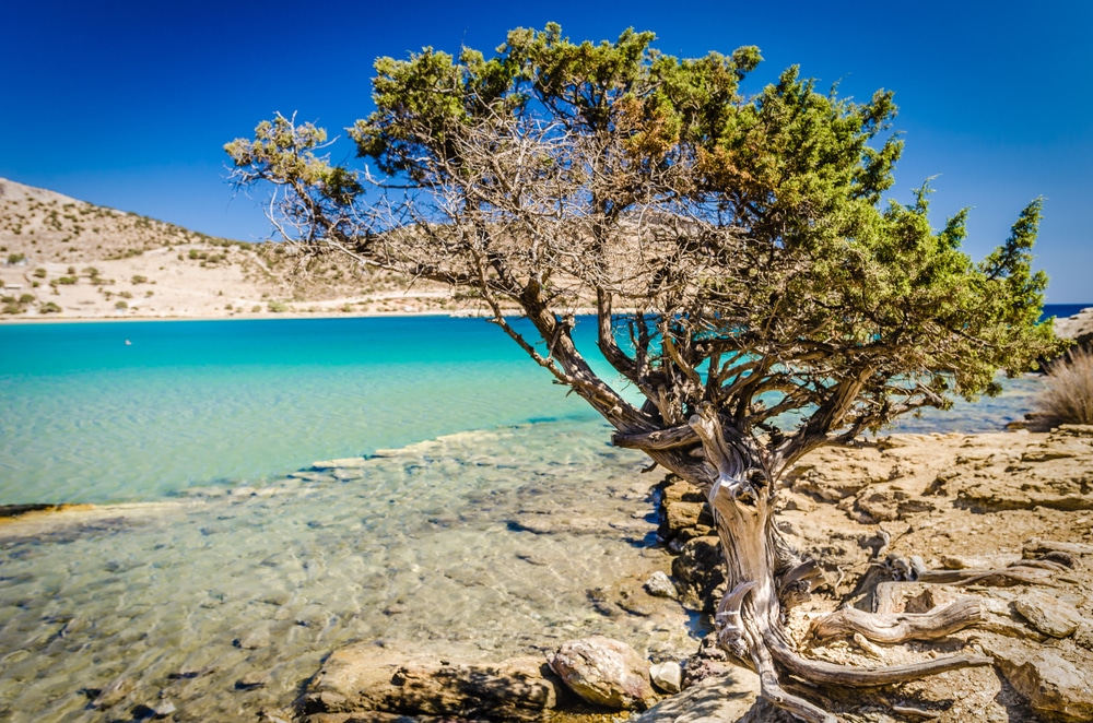 naxos-–-inselparadies-im-aegaeischen-meer naxos-–-inselparadies-im-aegaeischen-meer
