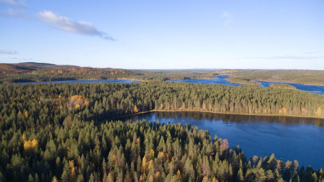 trend-waldbaden:-maerchenwaelder-und-bergwelten:-die-schoensten-waelder-in-europa trend-waldbaden:-maerchenwaelder-und-bergwelten:-die-schoensten-waelder-in-europa