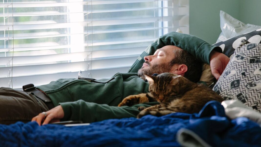 studie-stellt-nutzen-infrage:-sind-nickerchen-und-powernaps-gesund-oder-schaedlich? studie-stellt-nutzen-infrage:-sind-nickerchen-und-powernaps-gesund-oder-schaedlich?