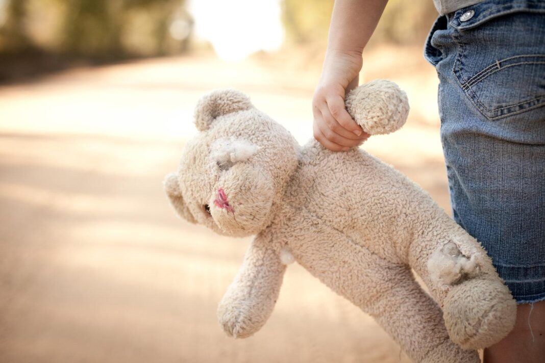 studie:-echter-hund-schlaegt-kuscheltier-bei-reaktion-im-gehirn studie:-echter-hund-schlaegt-kuscheltier-bei-reaktion-im-gehirn