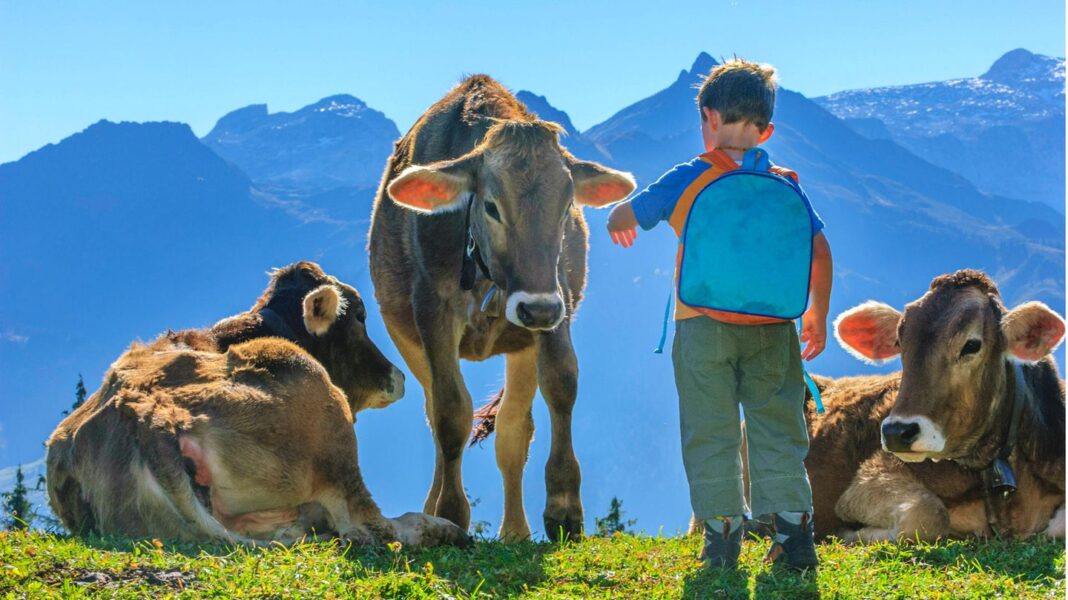 mit-kindern-in-den-bergen:-nicht-nur-in-den-herbstferien:-hier-macht-das-wandern-allen-spass mit-kindern-in-den-bergen:-nicht-nur-in-den-herbstferien:-hier-macht-das-wandern-allen-spass