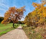 ein-herbsttraum:-der-hoellenstein-trail ein-herbsttraum:-der-hoellenstein-trail