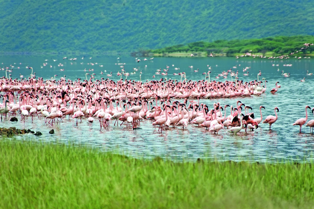 interessante-fakten-ueber-kenia interessante-fakten-ueber-kenia