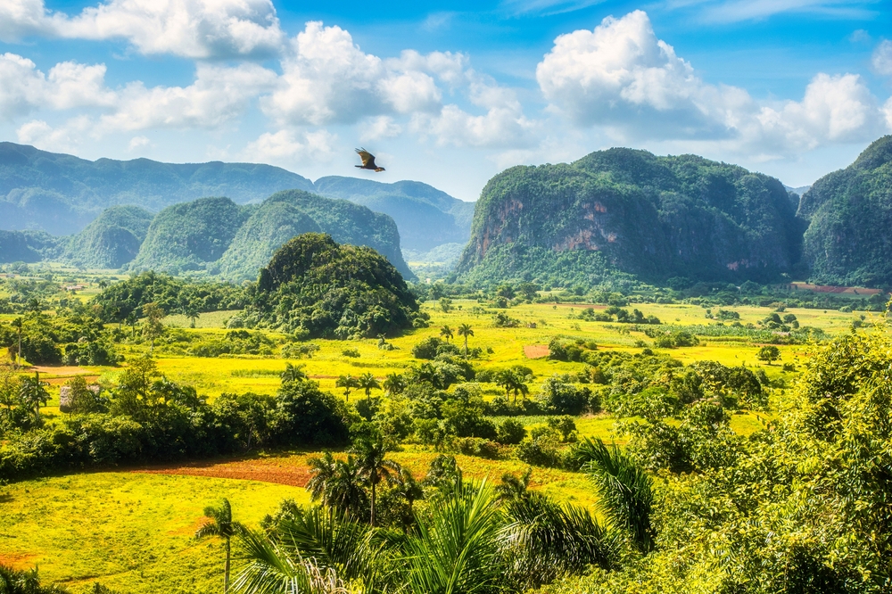 eines-der-beeindruckendsten-landschaften-kubas-–-das-tal-von-vinales eines-der-beeindruckendsten-landschaften-kubas-–-das-tal-von-vinales