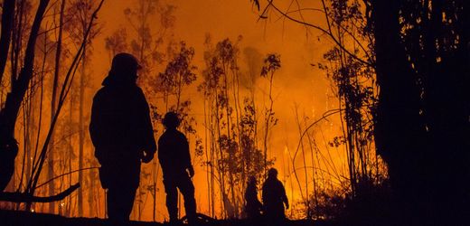 klimawandel:-hitzewellen-schaden-dem-export klimawandel:-hitzewellen-schaden-dem-export