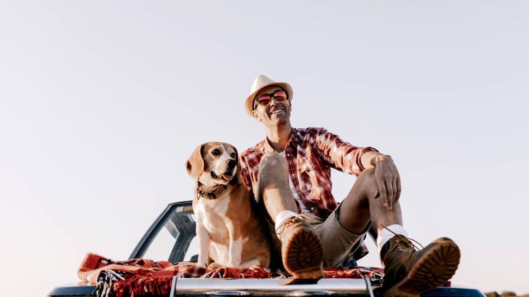 reiseplanung:-urlaub-mit-dem-hund:-das-muessen-sie-beachten reiseplanung:-urlaub-mit-dem-hund:-das-muessen-sie-beachten