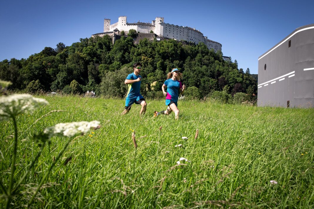 dienstag,-15.-nov-2022-–-fallrun-um-19-uhr dienstag,-15.-nov-2022-–-fallrun-um-19-uhr