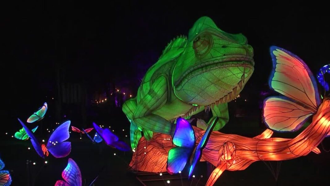 belgien:-22.500-leds-im-einsatz:-tierische-lightshow-begeistert-zoobesucher belgien:-22.500-leds-im-einsatz:-tierische-lightshow-begeistert-zoobesucher