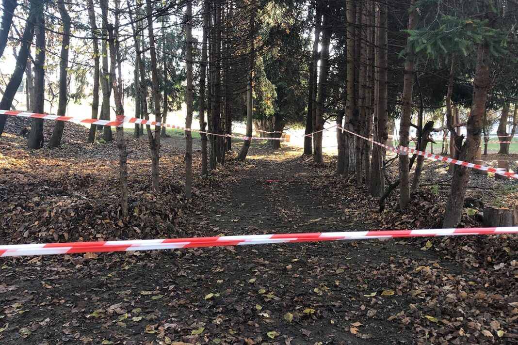 crosslauf-wochenende:-ueberraschung-bei-kenianischen-meisterschaften crosslauf-wochenende:-ueberraschung-bei-kenianischen-meisterschaften