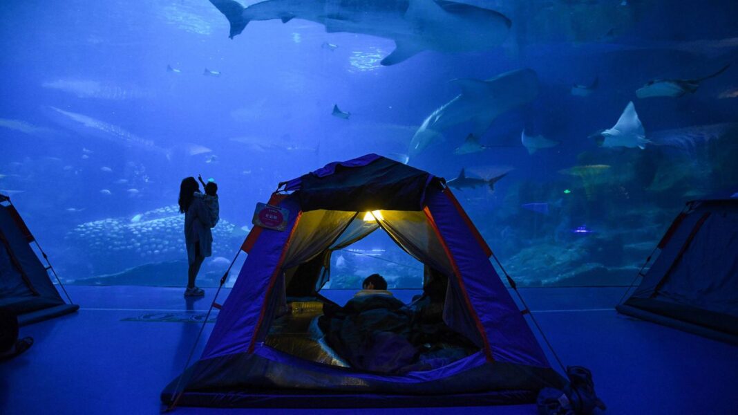 von-berlin-bis-syndey:-das-sind-die-10-groessten-aquarien-der-welt von-berlin-bis-syndey:-das-sind-die-10-groessten-aquarien-der-welt