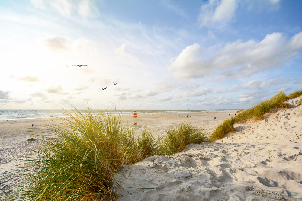 henne-strand-und-umgebung-–-das-hat-daenemarks-westkueste-zu-bieten henne-strand-und-umgebung-–-das-hat-daenemarks-westkueste-zu-bieten
