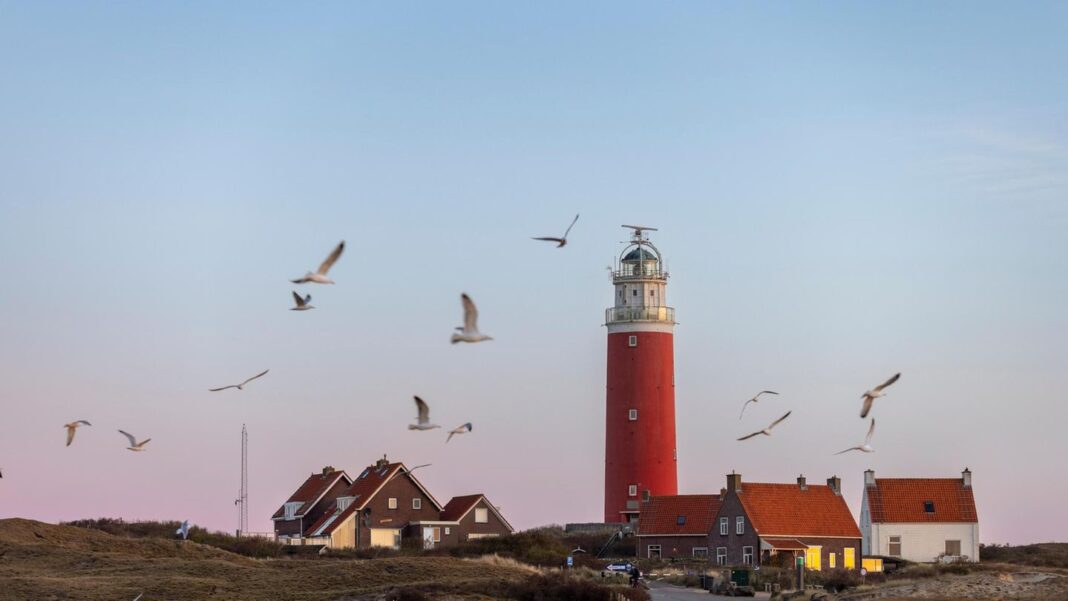 niederlande:-watt-schoen!-unterwegs-zum-austernsammeln-vor-der-insel-texel niederlande:-watt-schoen!-unterwegs-zum-austernsammeln-vor-der-insel-texel